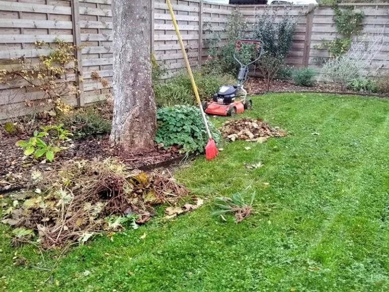 Entretien de jardin ramassages feuilles mortes et désherbage