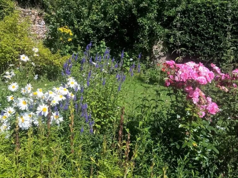 Jardin champêtre au coeur du Perche