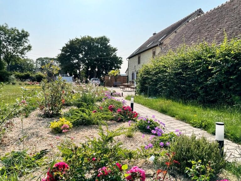 Jardin économe en eau écologique et durable
