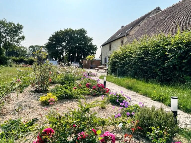 Jardin économe en eau écologique et durable