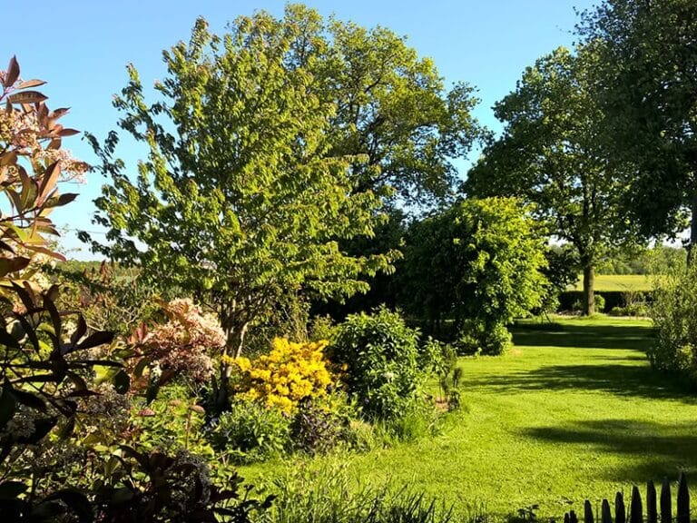 Jardins harmonieux inspirés par la nature