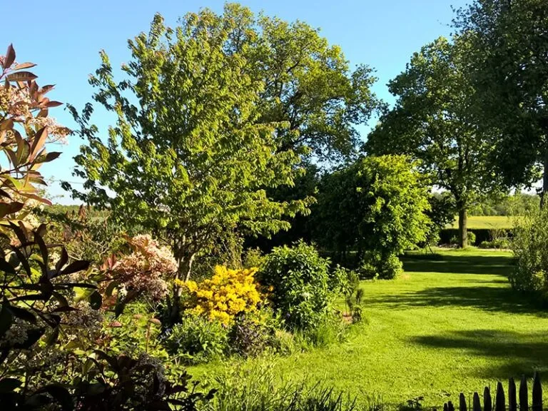 Jardins harmonieux inspirés par la nature