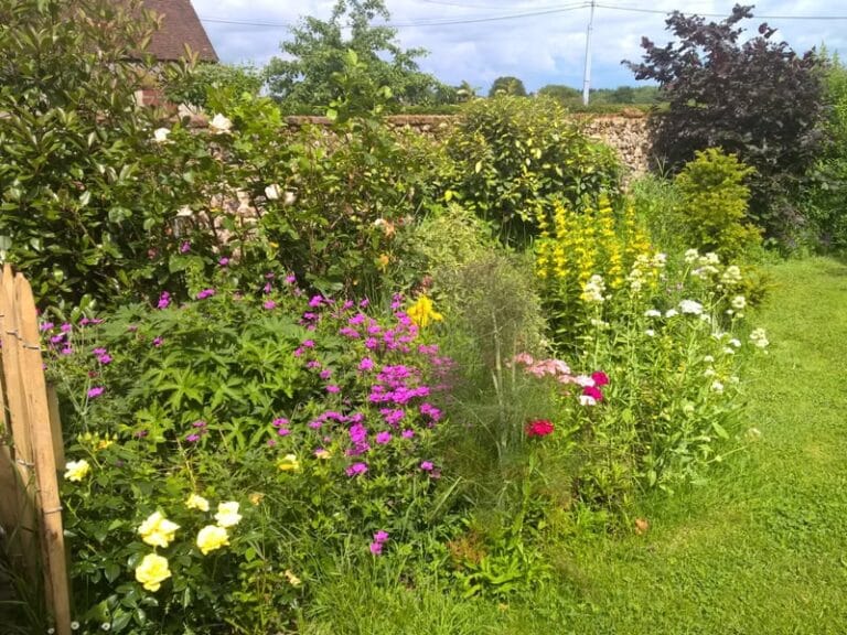 Un jardin écologique