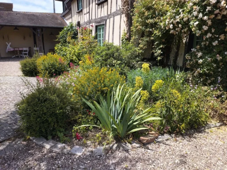 Aménagement de parterres fleuris