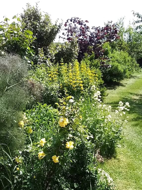 Création de jardins esthétiques, écologiques et durables au cœur du Perche