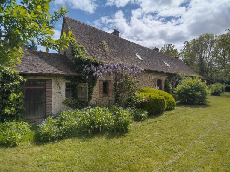 Entretien jardin et taille arbustes