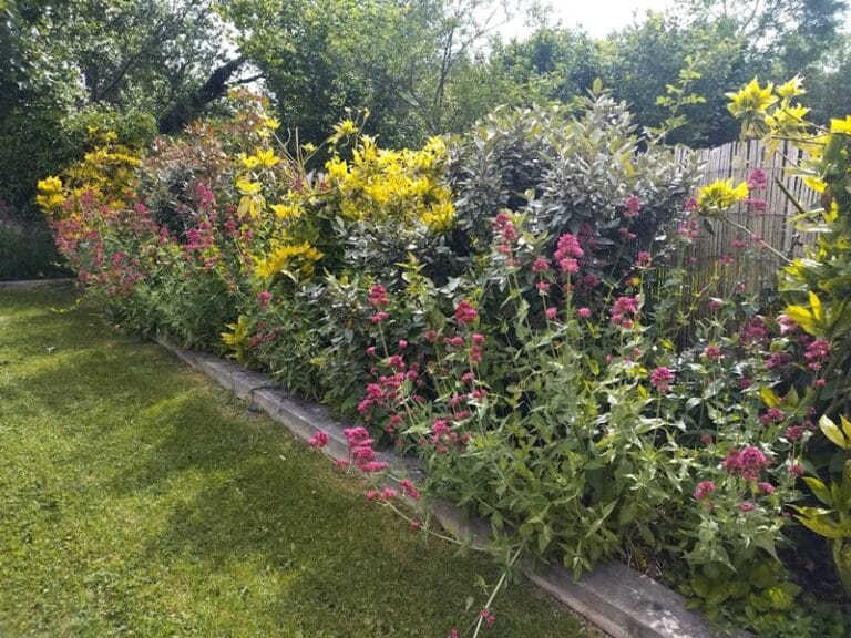 Un jardin naturel