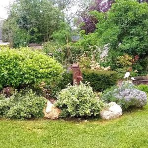 Entretien de compositions paysagères
