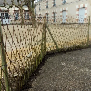Création d'une barrière en saule tressé